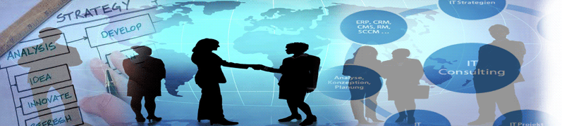 Motshwanelo IT Consulting